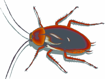 居民住宅區(qū)蟑螂的防治