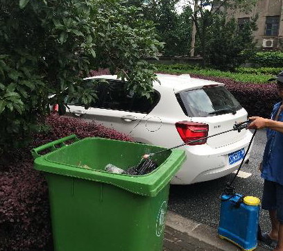 老鼠繁殖期，防治需及時(shí),滅老鼠|防老鼠|老鼠防治