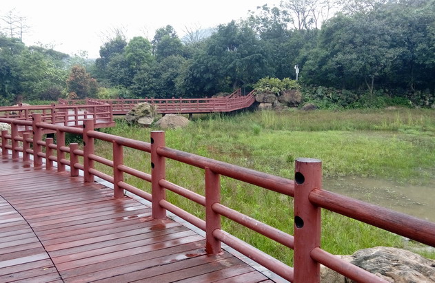 康雅殺蟲公司|森林公園一日游