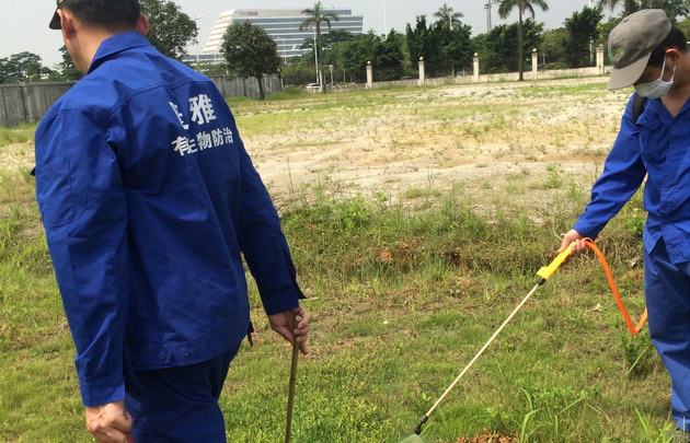   從化監獄紅火蟻情況復檢|殺蟲公司|滅紅火蟻|廣州滅蟲