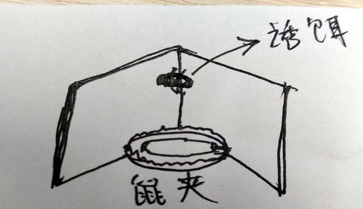 鼠夾的妙用|滅鼠|康雅殺蟲|廣州滅鼠