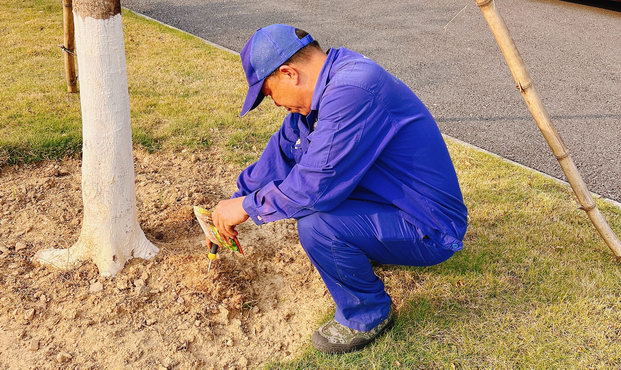 廣州殺蟲滅蟻服務